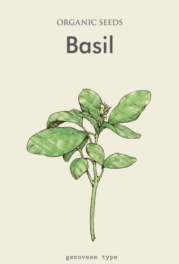 basil