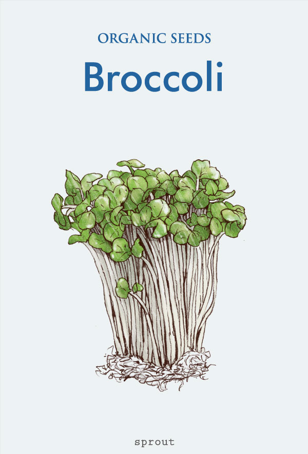 Broccoli