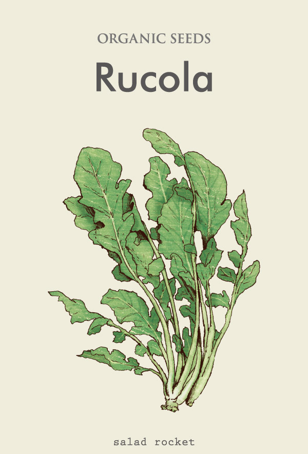 Rucola