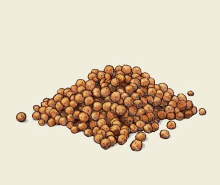 Sprout ball